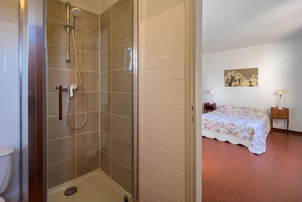 Mas De Charme En Pleine Camargue Villa Saint-Gilles  Exterior photo
