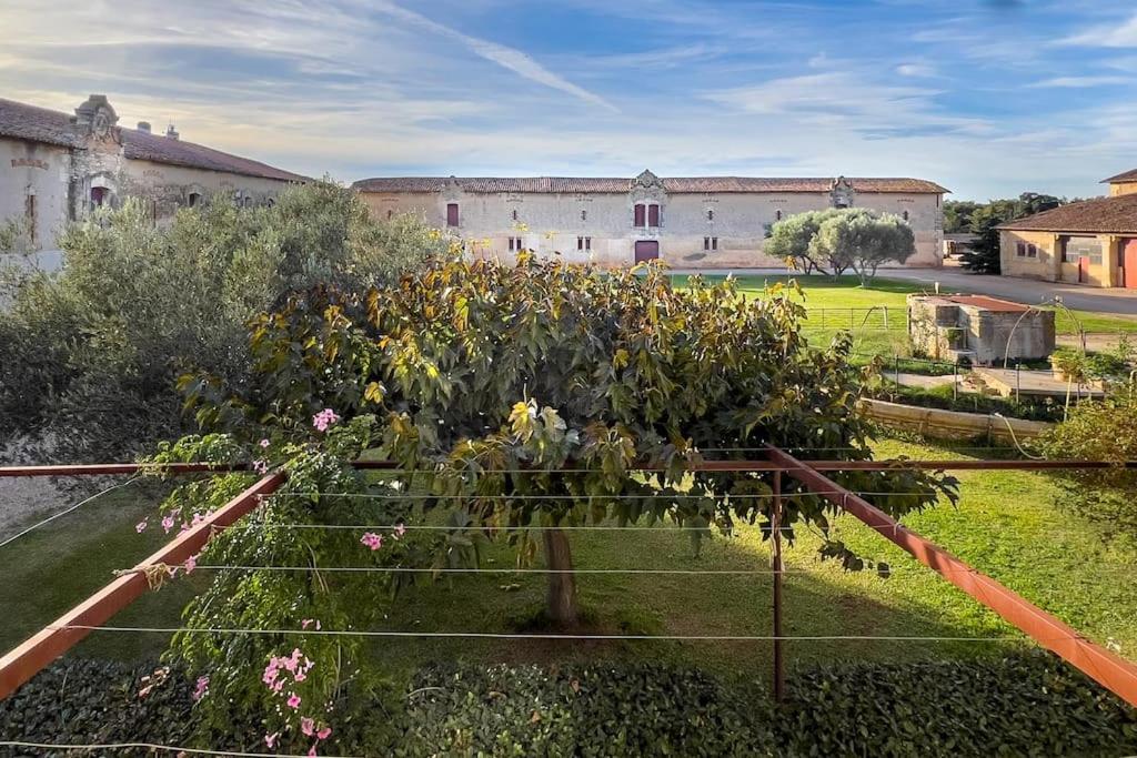 Mas De Charme En Pleine Camargue Villa Saint-Gilles  Exterior photo